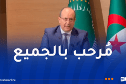 الوزير الأول بالنيابة يُرحب بكل الكفاءات للمشاركة في تصنيع السيارات