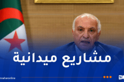 عطاف: الشراكة الجزائرية-الإيطالية ممتازة وحيوية