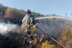 سوق  أهراس.. إخماد حريق غابة مشتة البكوش بوكايه