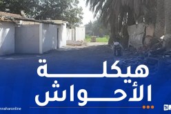 تعليمات وزارية بالشروع في هيكلة الأحواش