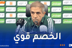 بن ستيتي: “سنعمل على تحقيق المفاجأة أمام الكاميرون”