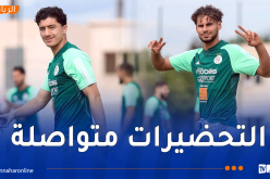 الخضر يواصلون التحضيرات لمواجهة أوغندا