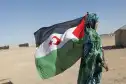 فرنسا والإمارات يمارسان ضغوطات للتصويت على مشروع يتضمن سيادة المغرب على الصحراء الغربية