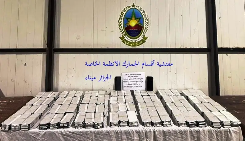 إحباط محاولات إدخال بضائع مخالفة للتشريع الجمركي عبر 3 موانئ