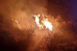 جيجل.. نشوب حريق بمشتة بوعصفور