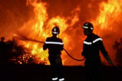 اندلاع حريق غابة بتيبازة