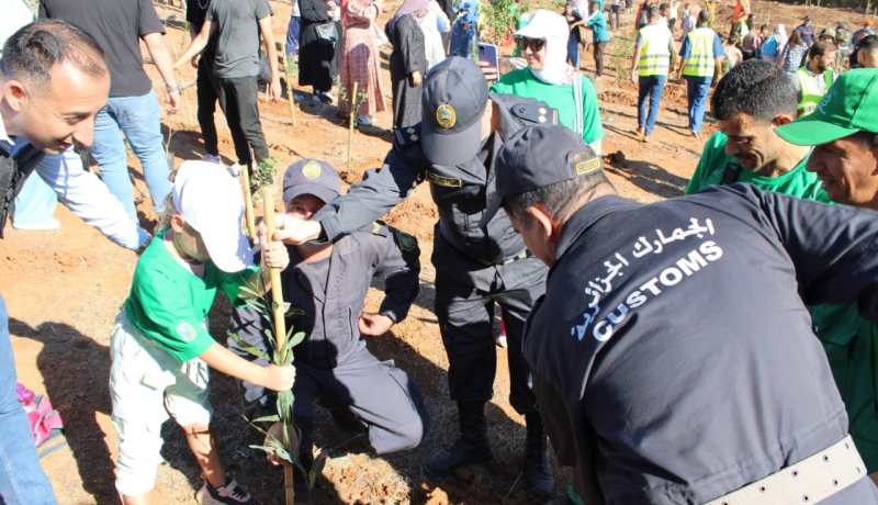 الحملة الوطنية للتشجير.. الجمارك ضمن المبادرة