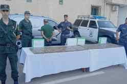 تيارت.. الإطاحة بشبكة تروّج المخدرات وحجز 32 كيلوغرامًا من الكيف بالسوقر