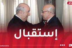 رئيس الجمهورية يستقبل وزير الدفاع التونسي