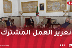 الفريق أول شنڨريحة يستقبل وزير الدفاع التونسي
