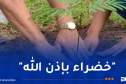 حملة غرس مليون شجرة.. هذه نقاط انطلاق العملية
