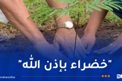 حملة غرس مليون شجرة.. هذه نقاط انطلاق العملية