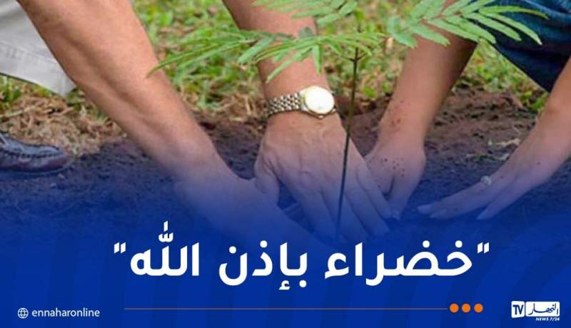 حملة غرس مليون شجرة.. هذه نقاط انطلاق العملية