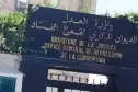 2400 مليار قيمة ممتلكات 288 شخصًا حقق معهم ديوان قمع الفساد