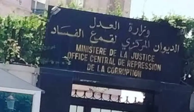 2400 مليار قيمة ممتلكات 288 شخصًا حقق معهم ديوان قمع الفساد