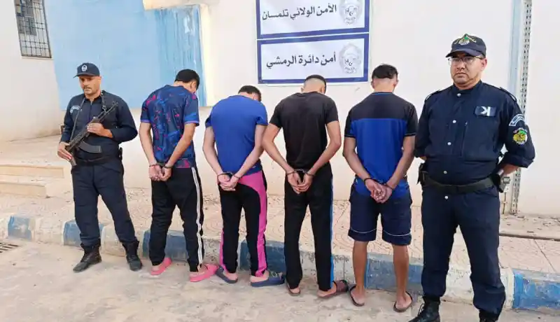 تلمسان: الشرطة تفكك جمعية أشرار وتسترجع مركبة مسروقة في ظرف قياسي