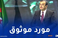 عرقاب: الجزائر تلتزم بالتحول الطاقوي دون التخلي عن الغاز الطبيعي كمورد محوري