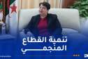 إفتتاح ورشة عمل حول الجيولوجيا الجزائرية غدا ببني عباس