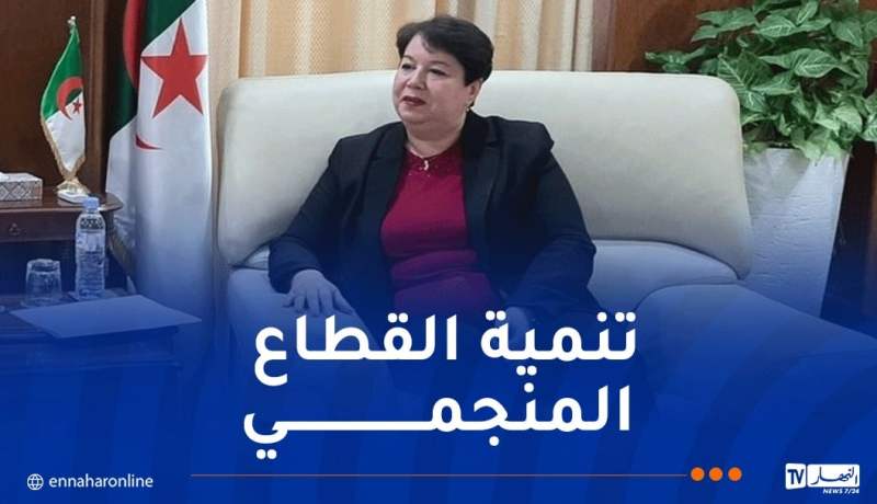إفتتاح ورشة عمل حول الجيولوجيا الجزائرية غدا ببني عباس