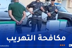 جمارك.. حجز 32 كلغ من “الكيف” بتيارت