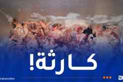 تيسمسيلت: الأمن يحجز قرابة قنطارين من الدجاج الفاسد