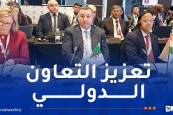 وزير الداخلية يشارك في الاجتماع الوزاري لمجموعة عمل الحد من مخاطر الكوارث