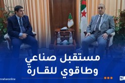 عجال: الصناعة الكهربائية ركيزة واعدة لنسج شراكات قوية مع الدول الإفريقية