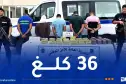 ميلة: الإطاحة بشبكة تستعمل حافلة لنقل المسافرين لترويج المخدرات