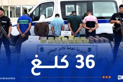 ميلة: الإطاحة بشبكة تستعمل حافلة لنقل المسافرين لترويج المخدرات