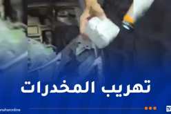 حجز 4,980 كلغ من الكيف على متن سيارة بالشلف