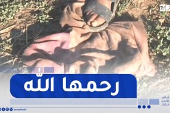 المسيلة: وفاة مأساوية لطفلة في الثالثة من عمرها إثر هجوم كلاب ضالة