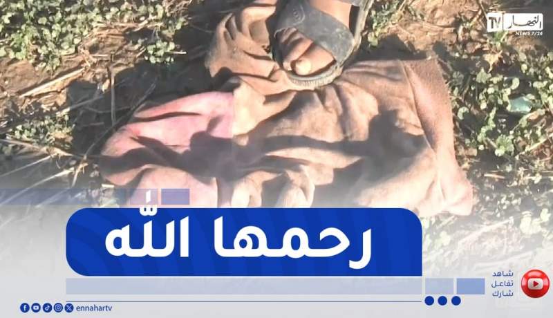 المسيلة: وفاة مأساوية لطفلة في الثالثة من عمرها إثر هجوم كلاب ضالة