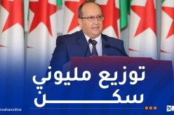 غريب : تعزيز الطابع الاجتماعي للدولة وتبني نموذج فريد في السكن