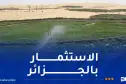 مشاريع استثمارية روسية في قطاع الزراعة بالجزائر