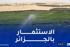 مشاريع استثمارية روسية في قطاع الزراعة بالجزائر