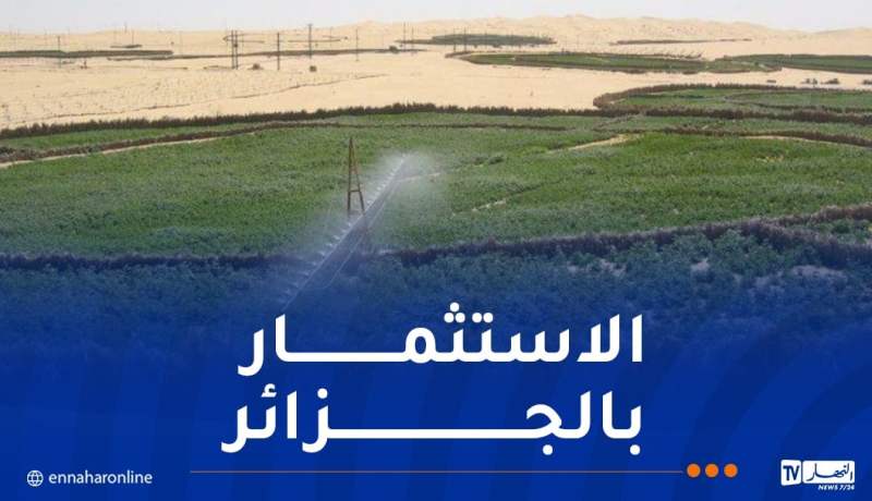 مشاريع استثمارية روسية في قطاع الزراعة بالجزائر
