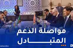 وزير الخارجية يستقبل نظيره البيلاروسي