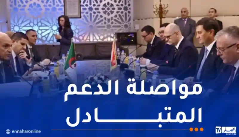 وزير الخارجية يستقبل نظيره البيلاروسي