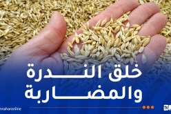 إحباط سرقة 342 قنطارًا من الشعير المدعم وتوقيف 3 أشخاص بتوقرت