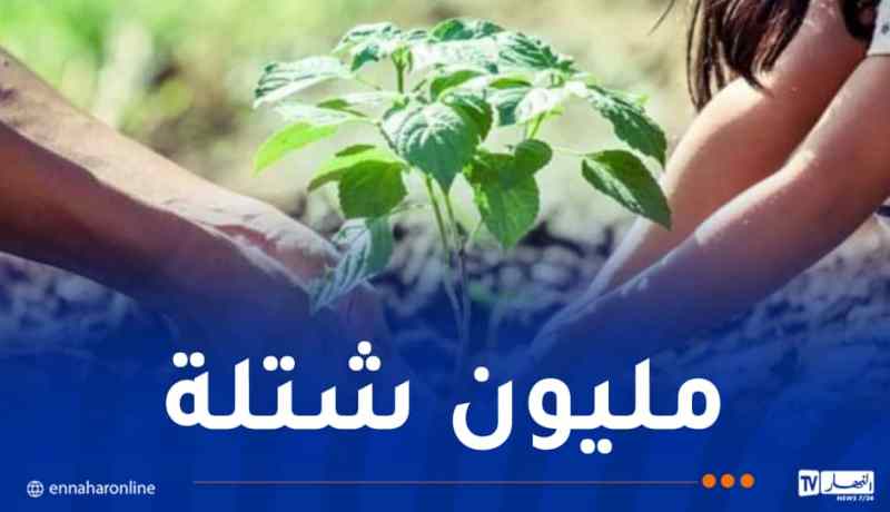 انطلاق أكبر حملة وطنية للتشجير اليوم