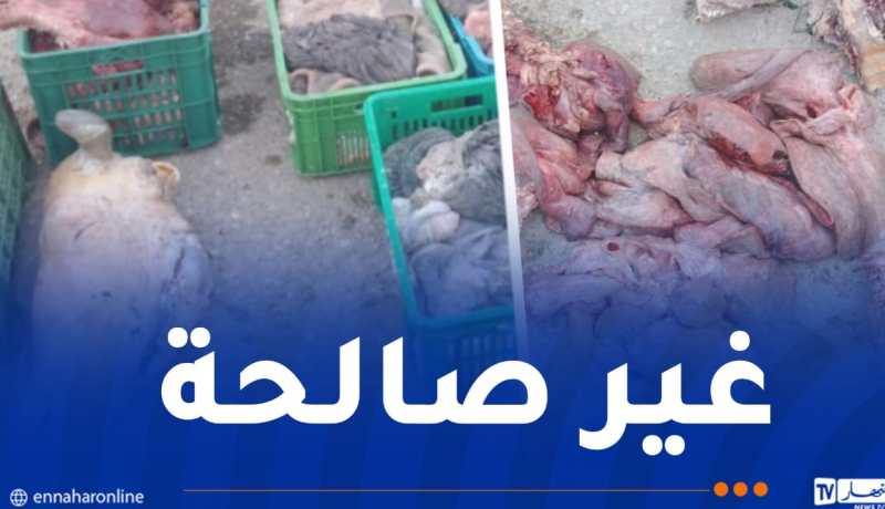 عين الدفلى.. حجز أزيد من 3 قناطير لحوم حمراء فاسدة