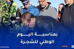 والي جيجل يشارك في الحملة الوطنية للتشجير