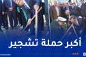 بداري يُشارك في الحملة المليونية للتشجير