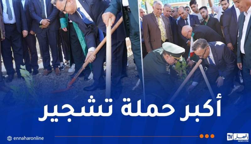 بداري يُشارك في الحملة المليونية للتشجير