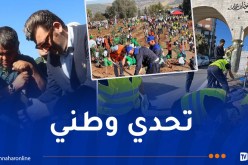وزارة الفلاحة: هبة شعبية لإنجاح تحدي غرس مليون شجرة