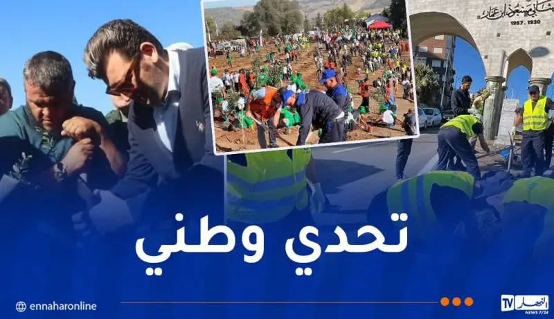 وزارة الفلاحة: هبة شعبية لإنجاح تحدي غرس مليون شجرة