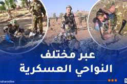 أفراد الجيش الوطني يشاركون في اليوم الوطني للتشجير
