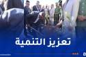 جلاوي: إدراج عملية غرس الأشجار في دفتر الشروط قبل انطلاق المشاريع