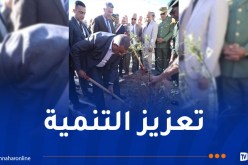 جلاوي: إدراج عملية غرس الأشجار في دفتر الشروط قبل انطلاق المشاريع