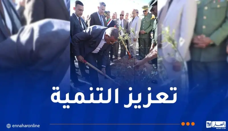جلاوي: إدراج عملية غرس الأشجار في دفتر الشروط قبل انطلاق المشاريع